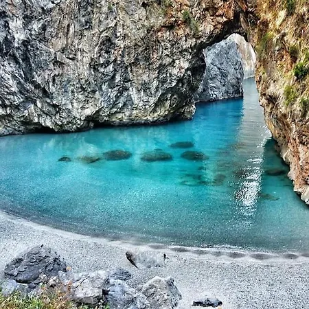 Loiacono 2