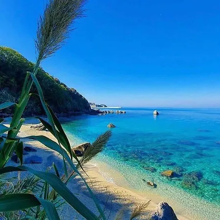 Loiacono 2 Caria