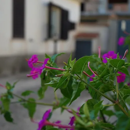 Apartment Loiacono 2